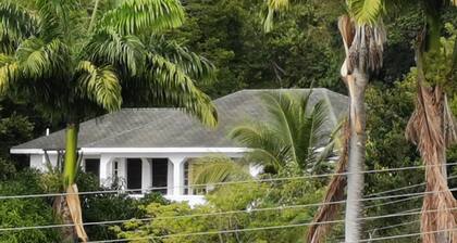 Lucy's Sunshine Villa Palm Loop, Spacious 3 Bed 2 Bathroom,