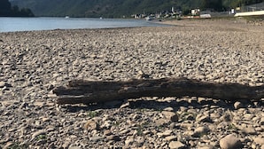 A pebble beach with a log in the foreground, a calm lake, and hills in the background. - House on the edge of the forest with sauna and view over the Rhine Valley (Weyer)