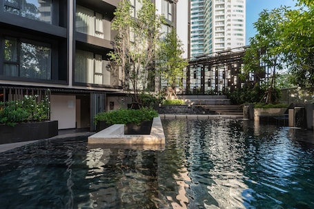 Outdoor pool, sun loungers