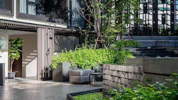 Outdoor pool, sun loungers