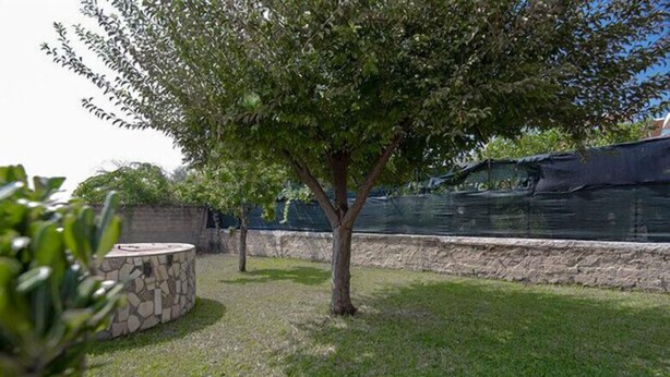 Un árbol en un área verde con una estructura de piedra cerca.