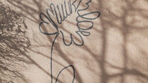 Una pared texturizada con un dibujo sencillo de una flor.