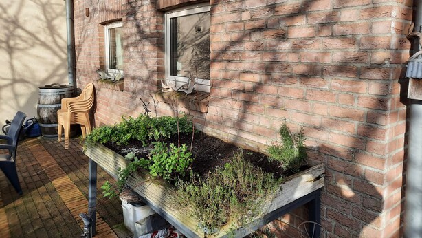 Un edificio de ladrillo con tres ventanas, una jardinera de madera con plantas y una silla.