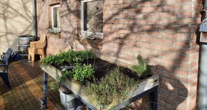 Pieter Pad Apartment: quiet location with terrace and garden view