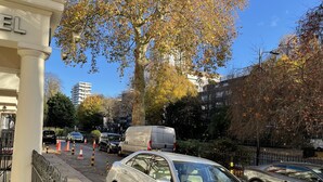 Une vue de rue avec des voitures garées, un arbre aux feuilles d’automne et un bâtiment avec une enseigne.