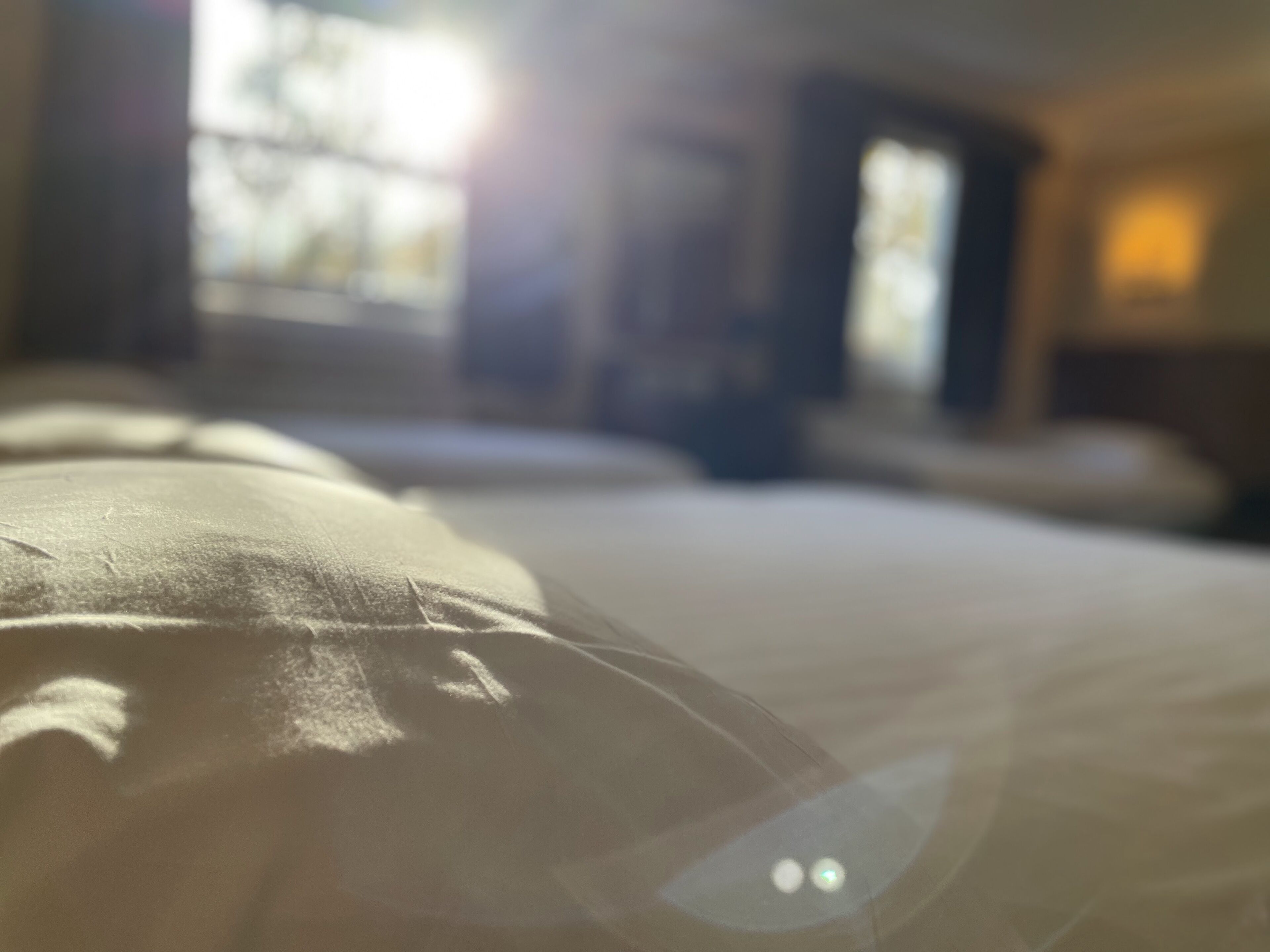 Foto - Orchard Hotel