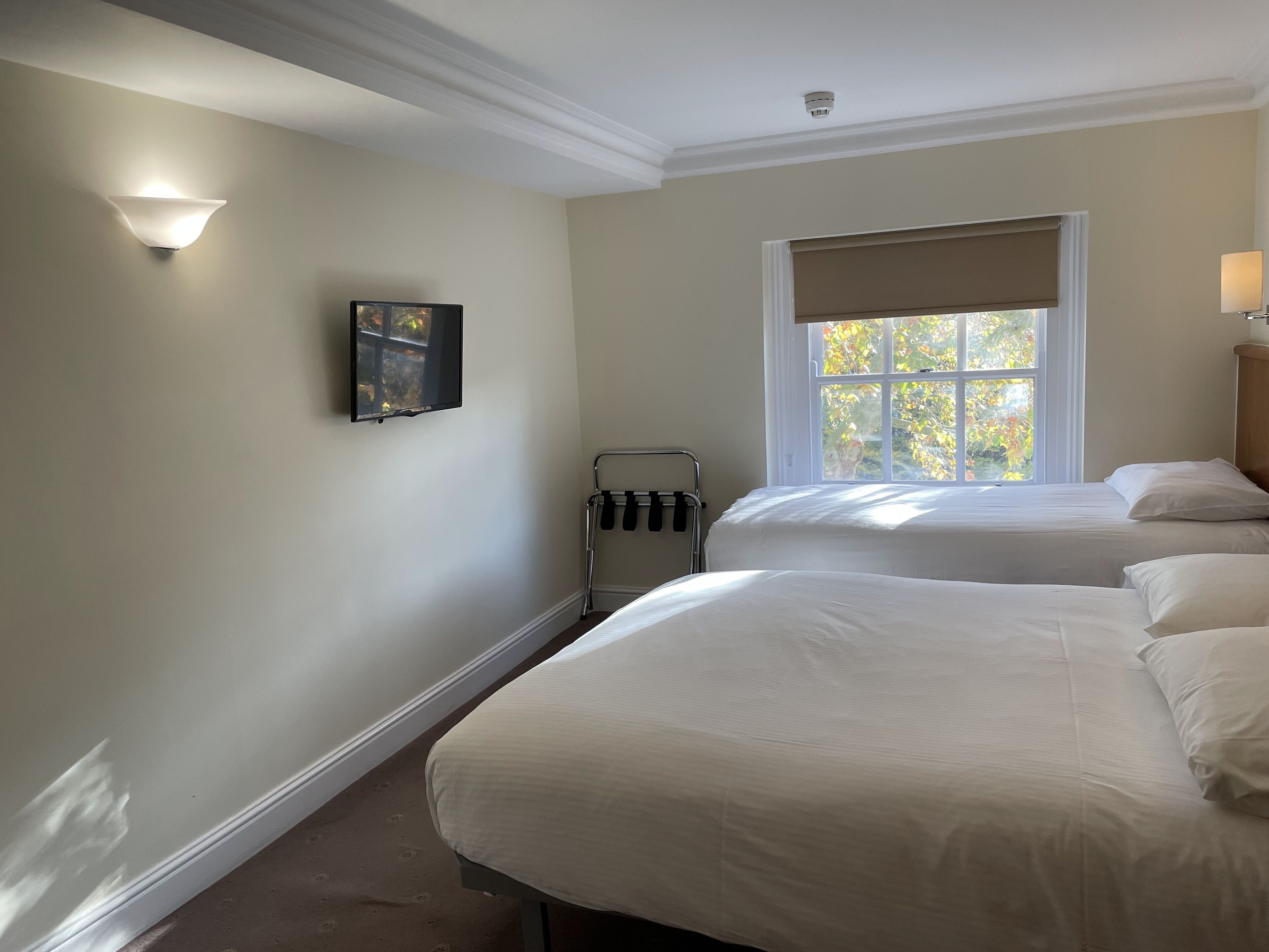 Foto - Orchard Hotel