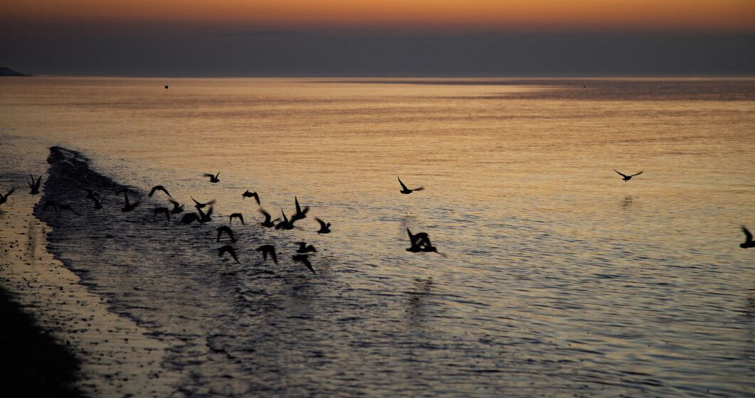 Playa en los alrededores 