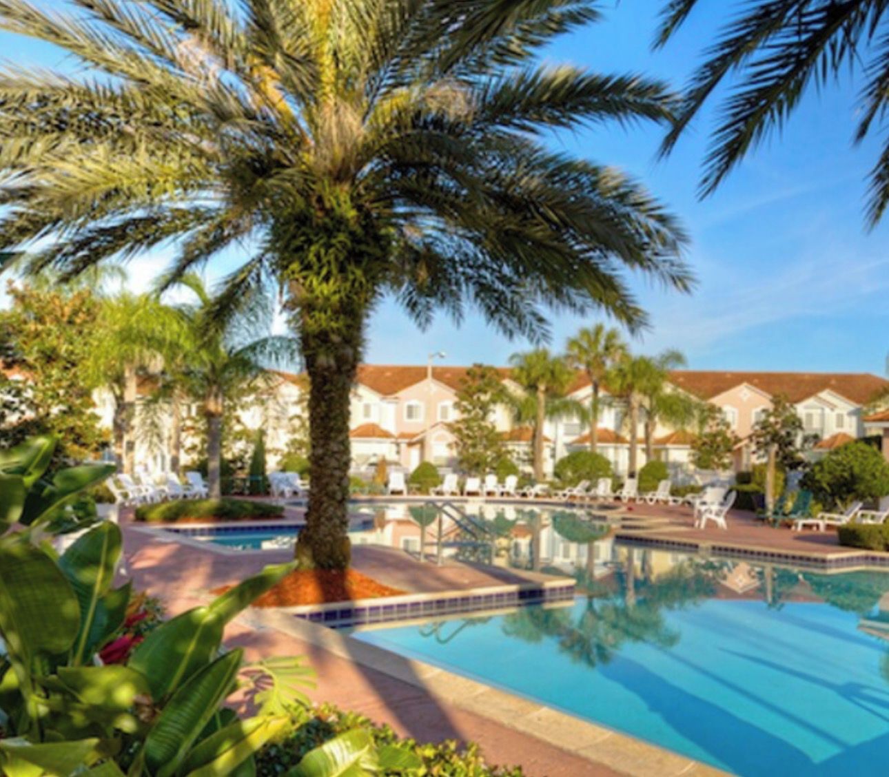 A swimming pool surrounded by palm trees and lounge chairs, with a building in the background.