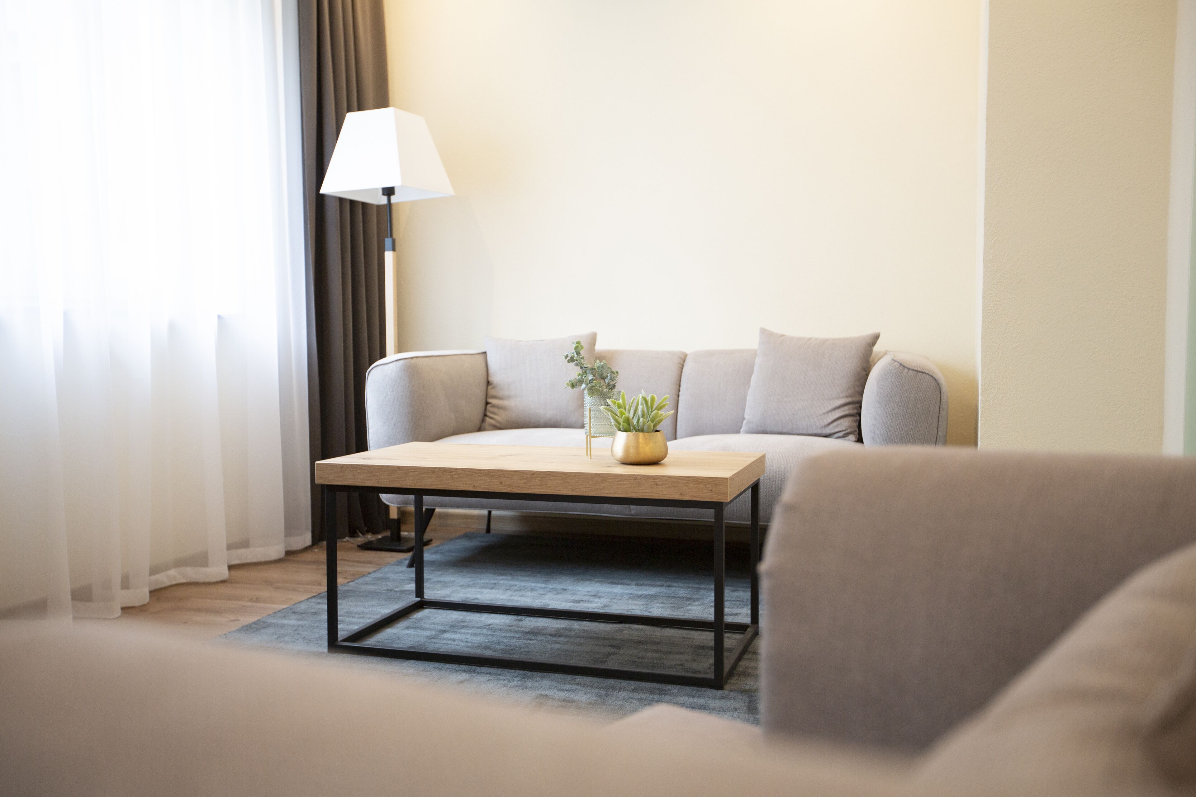 Ein modernes Wohnzimmer mit einer Couch, einem Couchtisch, einer Lampe und einer Topfpflanze.