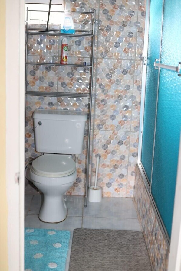 A bathroom with a toilet, a shelf with cleaning supplies, and a patterned tile wall. - Veron's Country Getaway<br><br>TUSCHEN West Coast Demerara (Tuschen, East bank Essequibo)