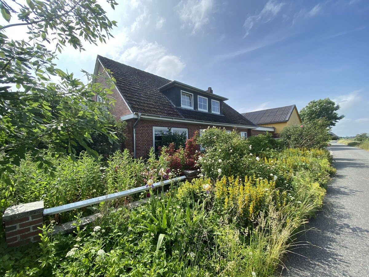 Image de profil de l’hôte