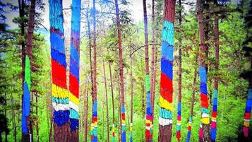Une forêt où les arbres sont peints de larges bandes horizontales de différentes couleurs.