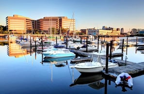 Marina - Waterview House Walking Distance from Cove Beach (Stamford)