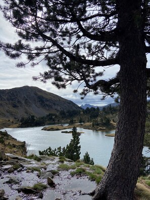 Eine Berglandschaft mit einem See, umgeben von Bäumen und felsigem Gelände.