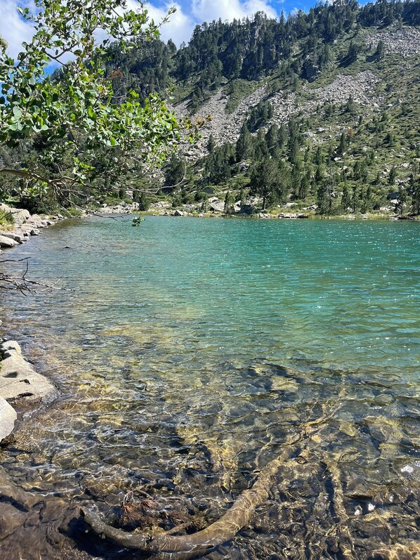 Un lago de montaña cristalino con orillas rocosas y un denso bosque al fondo.