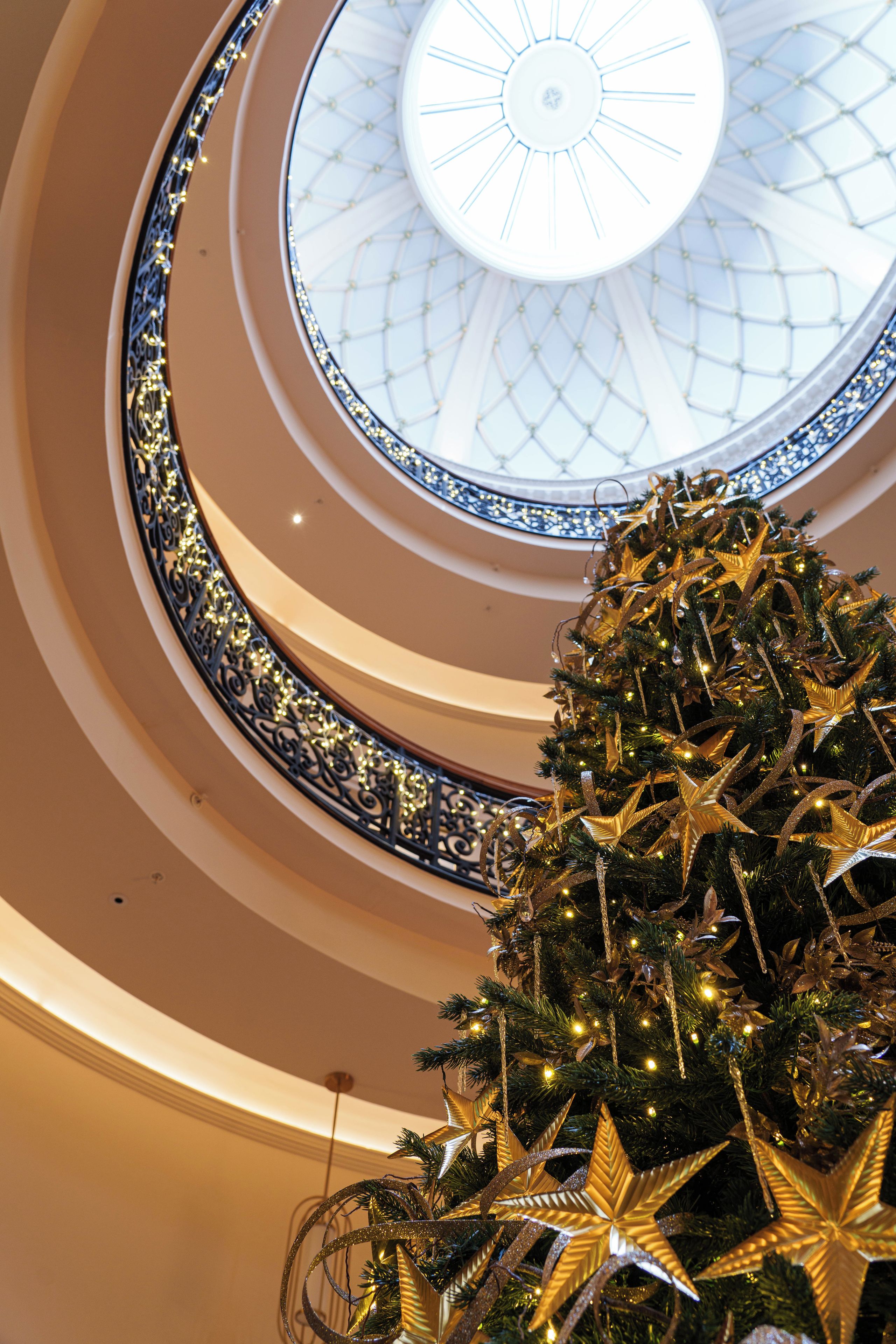 A multi-level atrium with a central glass dome ceiling and a decorated Christmas tree.