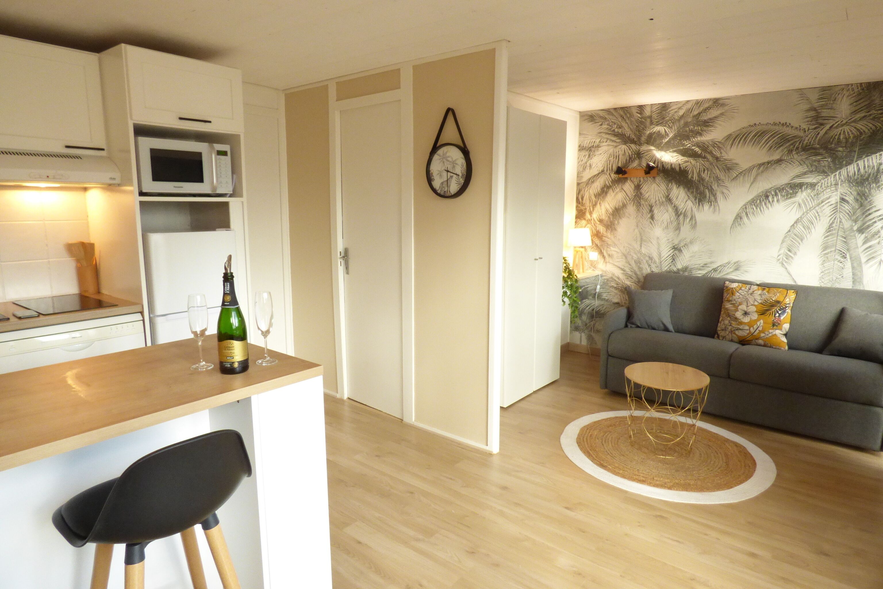 Télévision, baby-foot, table de tennis de table, livres