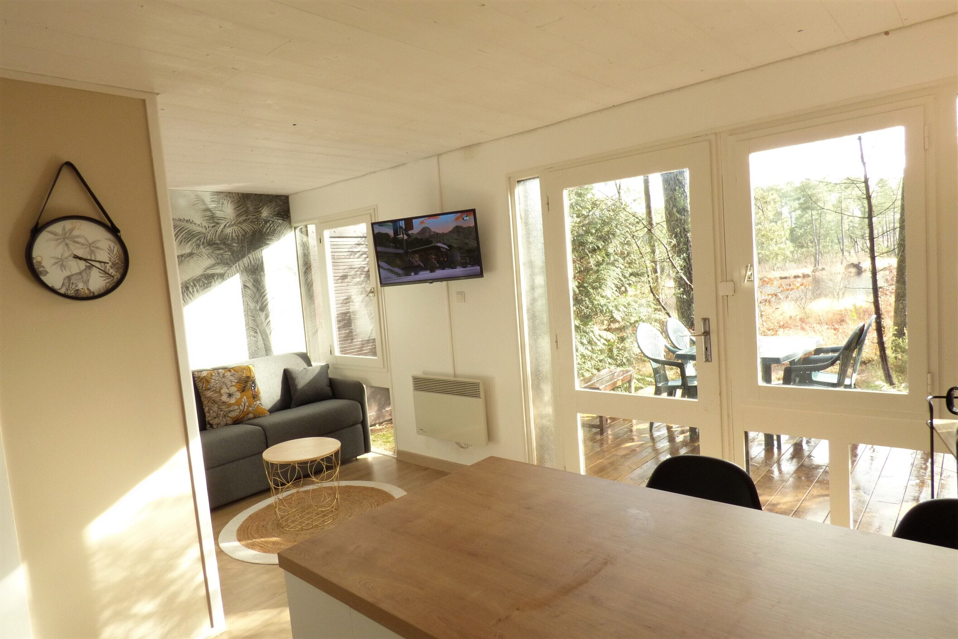 Télévision, baby-foot, table de tennis de table, livres