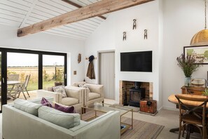 Smart TV, chimenea y libros 