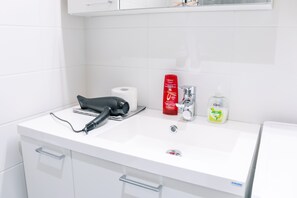 Shower, hair dryer, bidet, towels