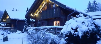 Cosy chalet with breathtaking views of the pond and valley in the Vosges mountains