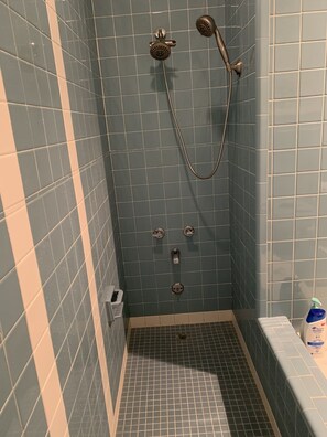 Combined shower/tub, hair dryer, towels, soap