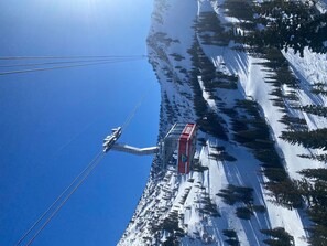 Snow and ski sports - On the slopes of Snowbird Ski resort (Sandy)