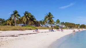 Une plage avec une eau cristalline, des palmiers et des vacanciers.