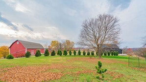 Une grange rouge, un grand arbre et un champ verdoyant parsemé de feuilles.