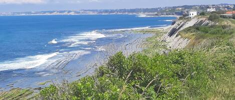 In Strandnähe, Strandtücher