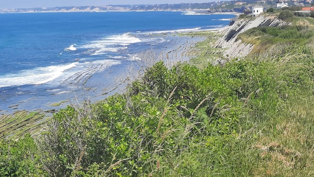 A coastal landscape with a clear view of the ocean, a rocky shoreline, and a distant town.
