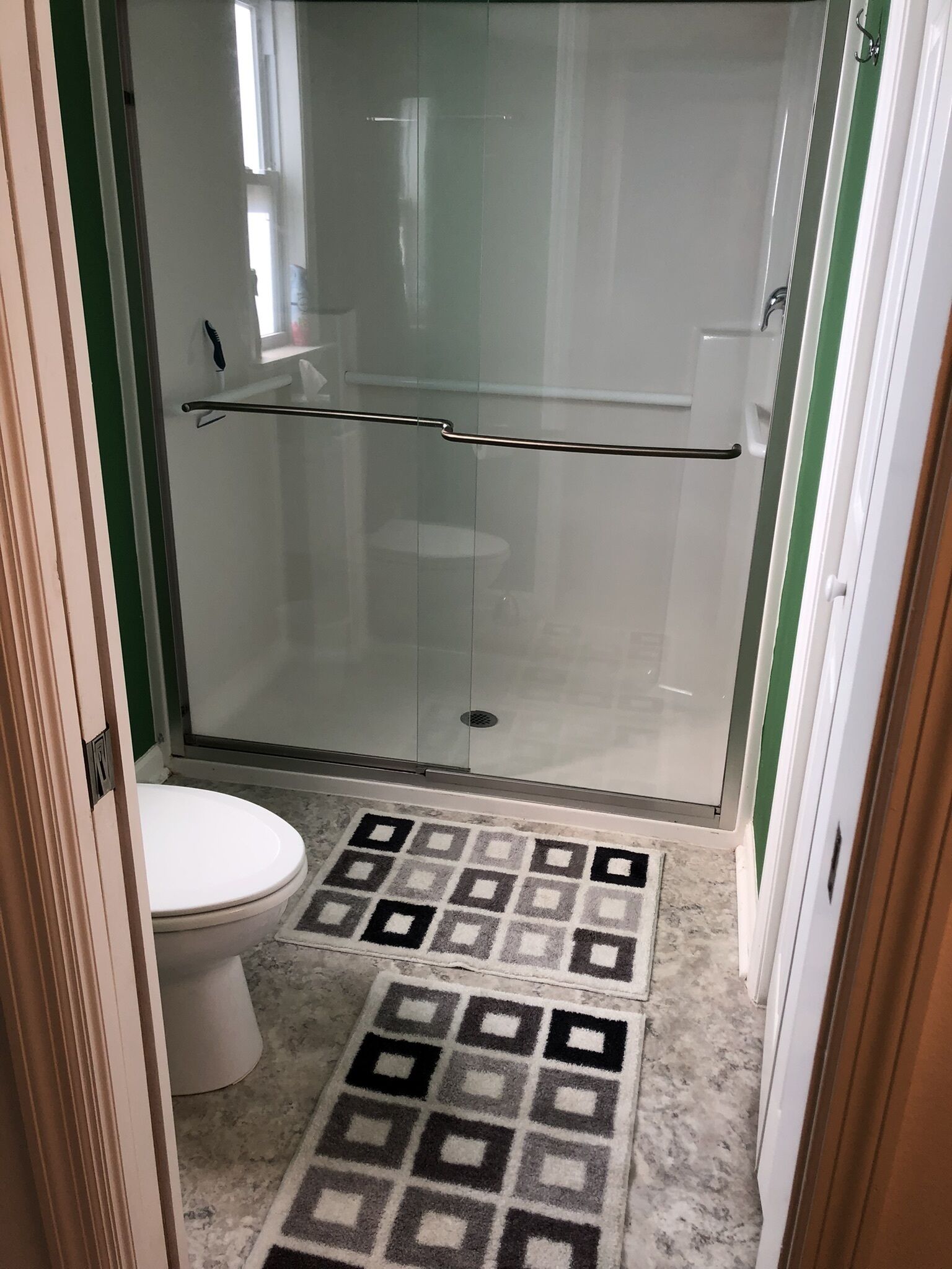 Une salle de bain avec une douche à parois de verre, des toilettes et un tapis à motifs sur le sol.