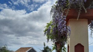 A house with a sloped roof, a garden with various plants and flowers, and a view of the sky. - Cottage/Gite Cavalinho (Calheta)