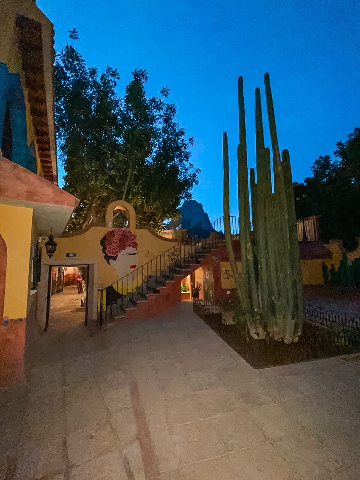 Een trap die leidt naar een gebouw, met een cactus op de voorgrond.