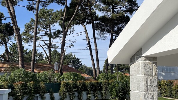 Un área de piscina exterior moderna con un pilar de piedra, rodeada de césped y árboles bien cuidados.