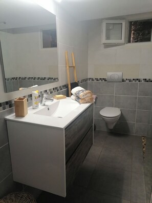 Regadera, secadora de cabello, toallas, papel de baño 