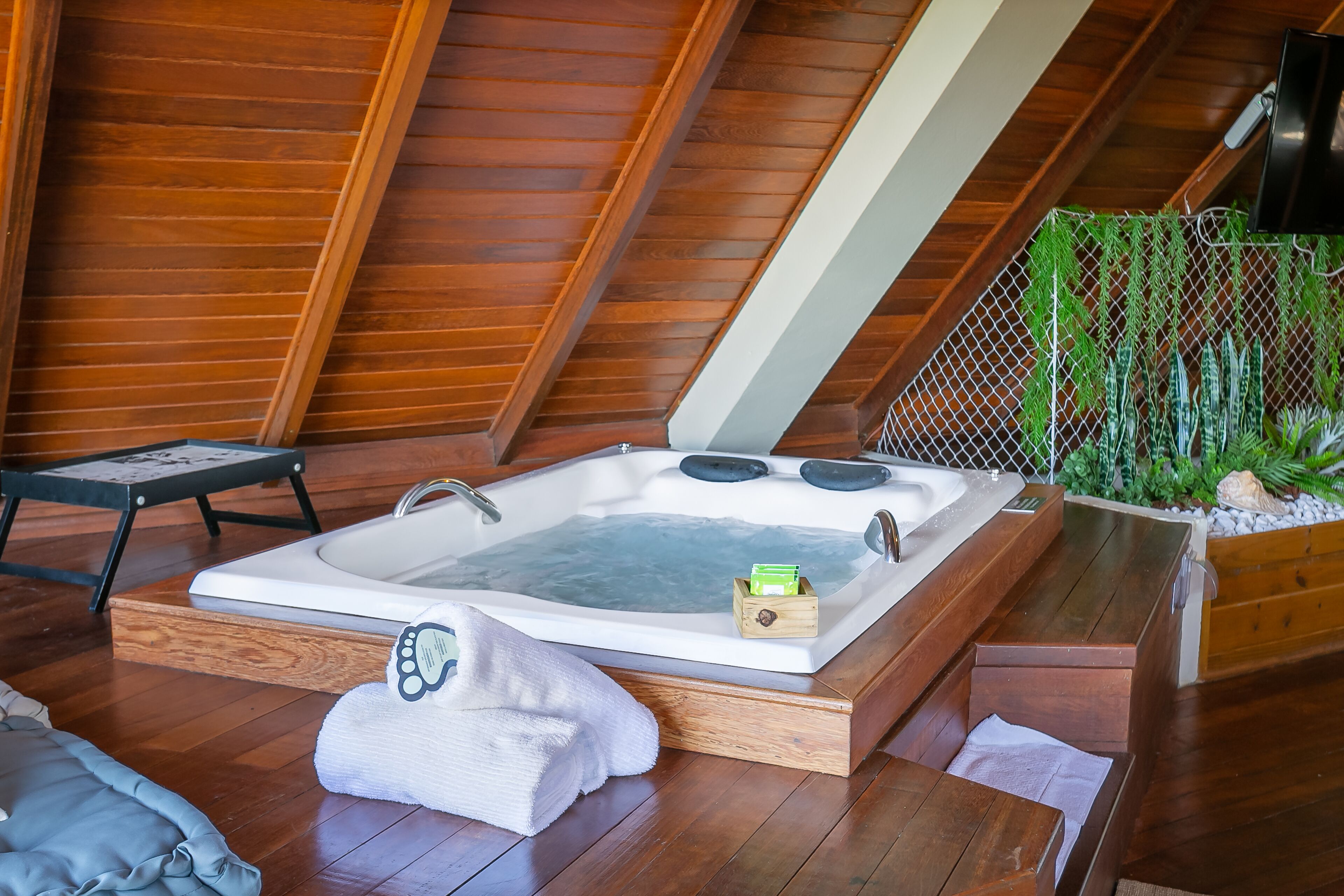 A hot tub in a wooden room with a sloped ceiling and a small plant area.