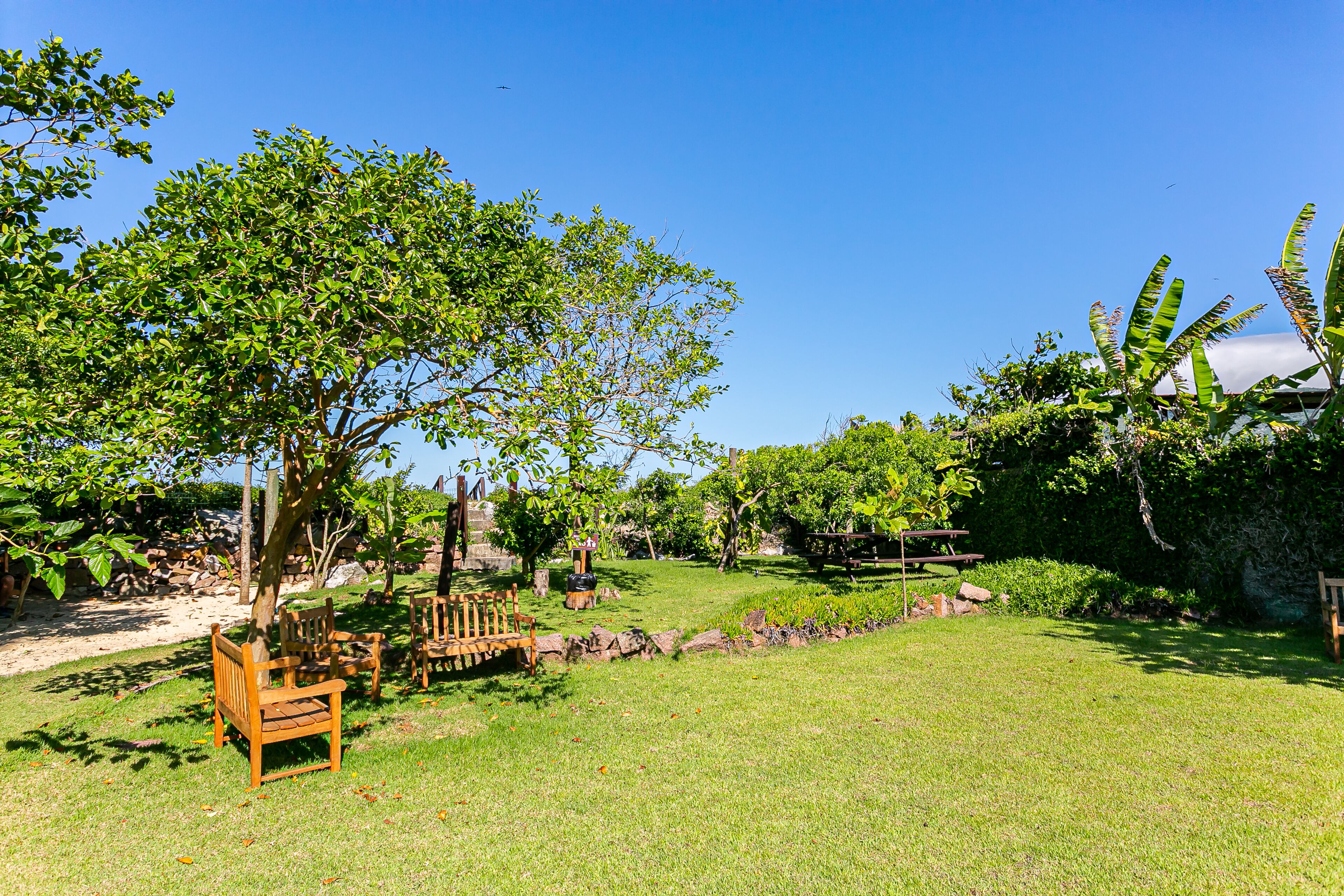 A well-maintained garden with a wooden bench, a stone wall, and various trees.