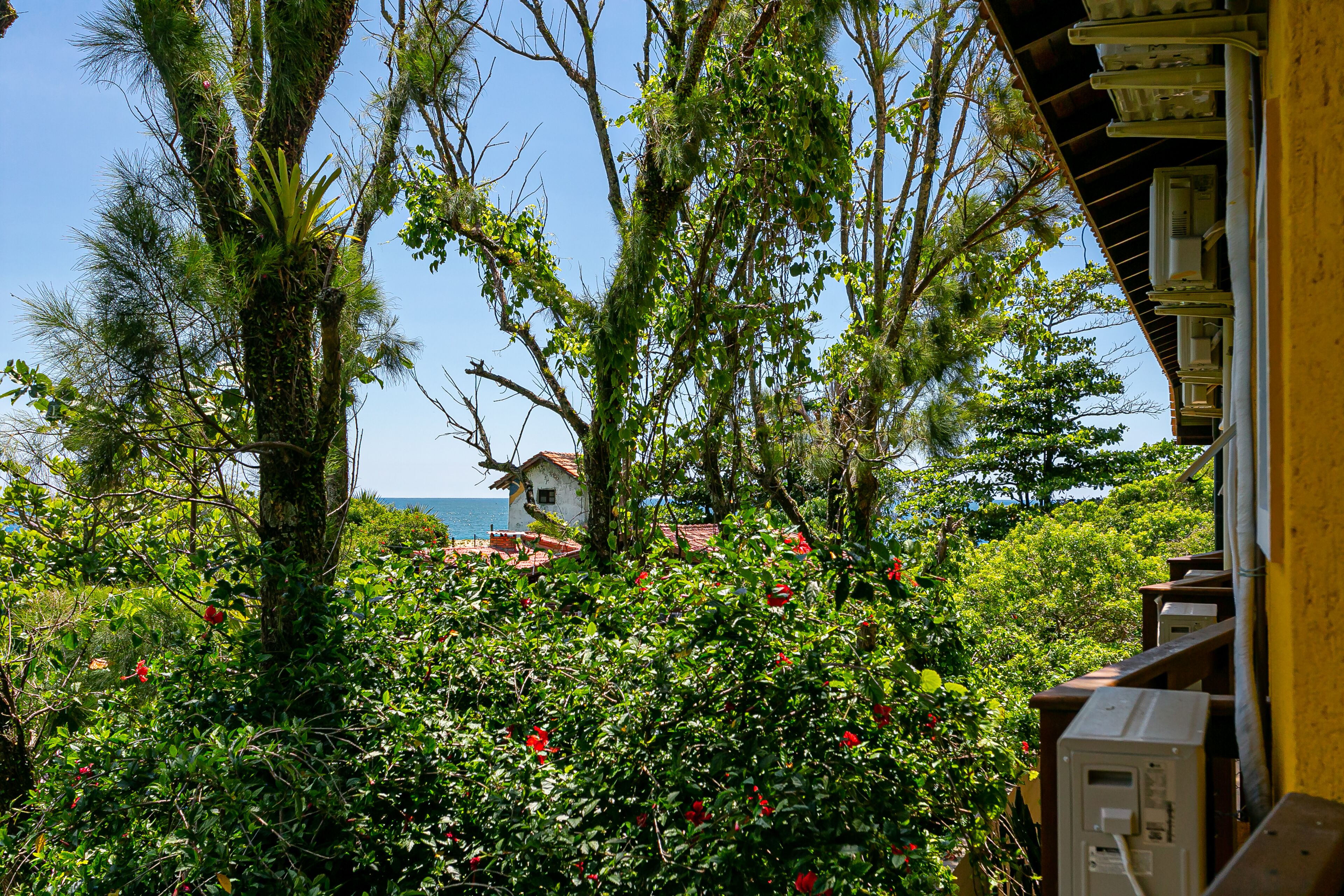 A lush garden with dense foliage and a view of the sea.