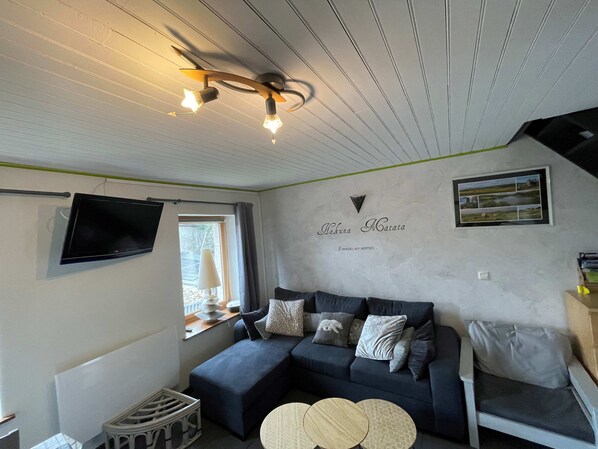 TV, ping pong, books