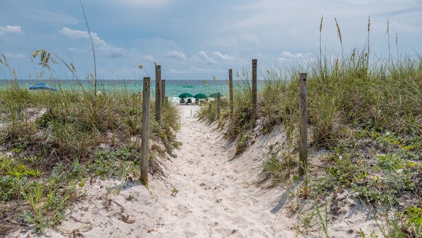 Een zandpad langs het strand dat naar de oceaan leidt, met houten palen en schaarse begroeiing.