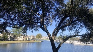 A tree-lined lakeside view with a grassy area and buildings in the background. - Lakeside Daze! (Montgomery)