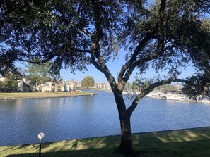 More balcony scenery