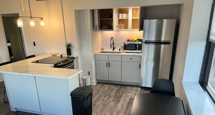 Gorgeous Modern Downtown Jacksonville Penthouse Close to Everything!