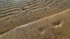 A beach with clear water and visible sand patterns. - Stunning lake cottage in the heart of wine country (Traverse City)