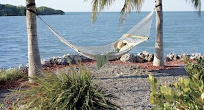 Relax in a hammock suspended between palm trees, overlooking a calm body of water.