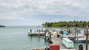 Un port de plaisance avec des bateaux amarrés, une jetée en bois et, en arrière-plan, des palmiers.