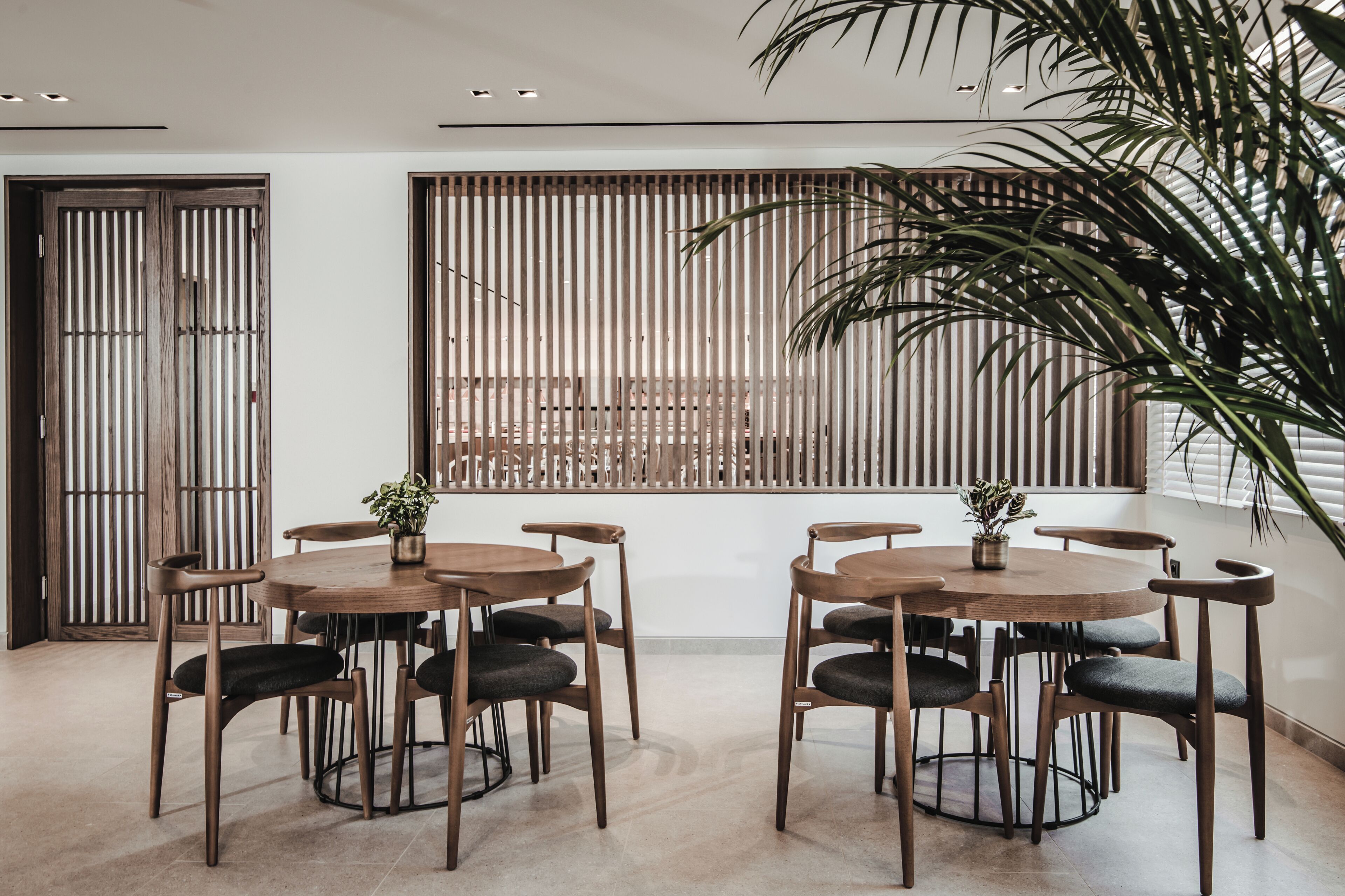 Un comedor moderno con una mesa redonda de madera y sillas, una planta grande en maceta y una celosía de bambú al fondo.