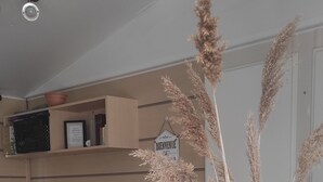 A dining area with a table, chairs, a vase with pampas grass, a sofa, and a wall-mounted shelf with various items. - Your vacation with peace of mind! (Agde)